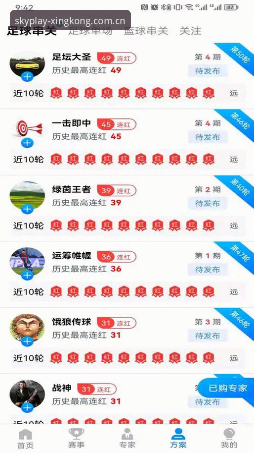 揭秘星空体育官方平台：从数据到体验的深度解析